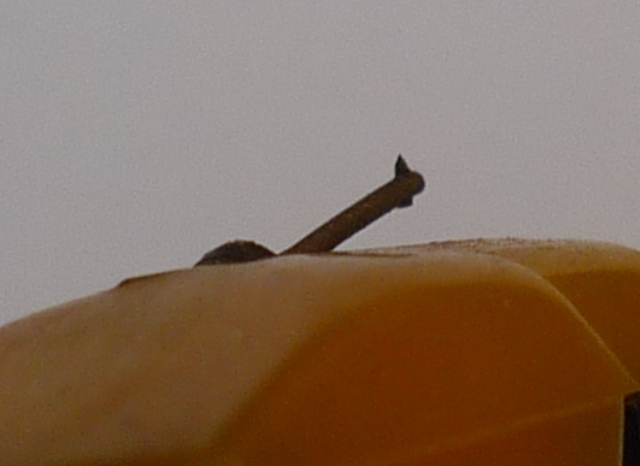 P1020882.JPG
