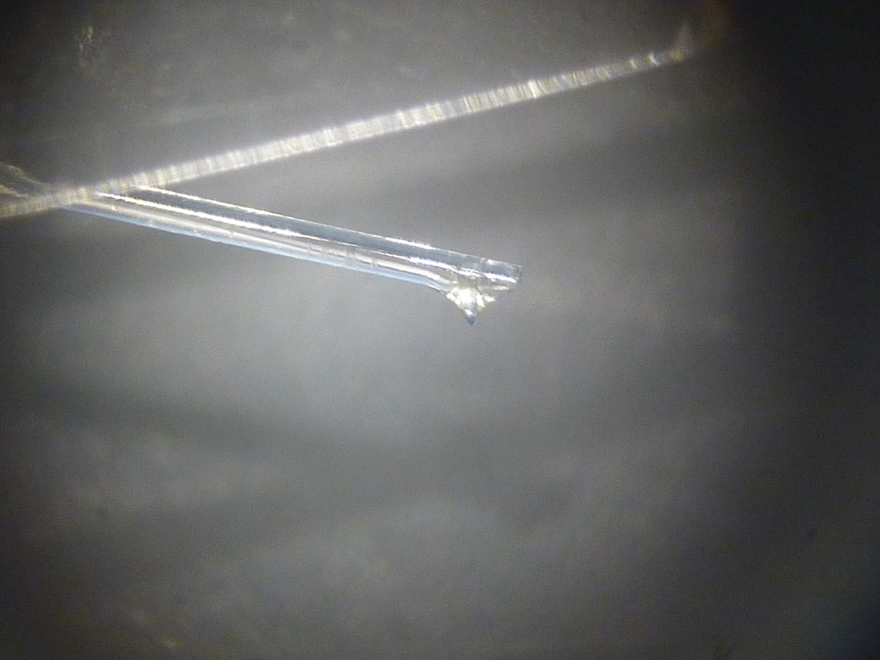 P1160376 (Copier).JPG
