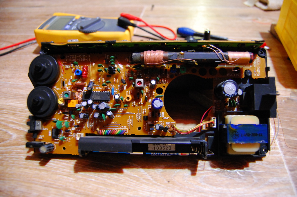DSC_8112.JPG-avlf.jpg