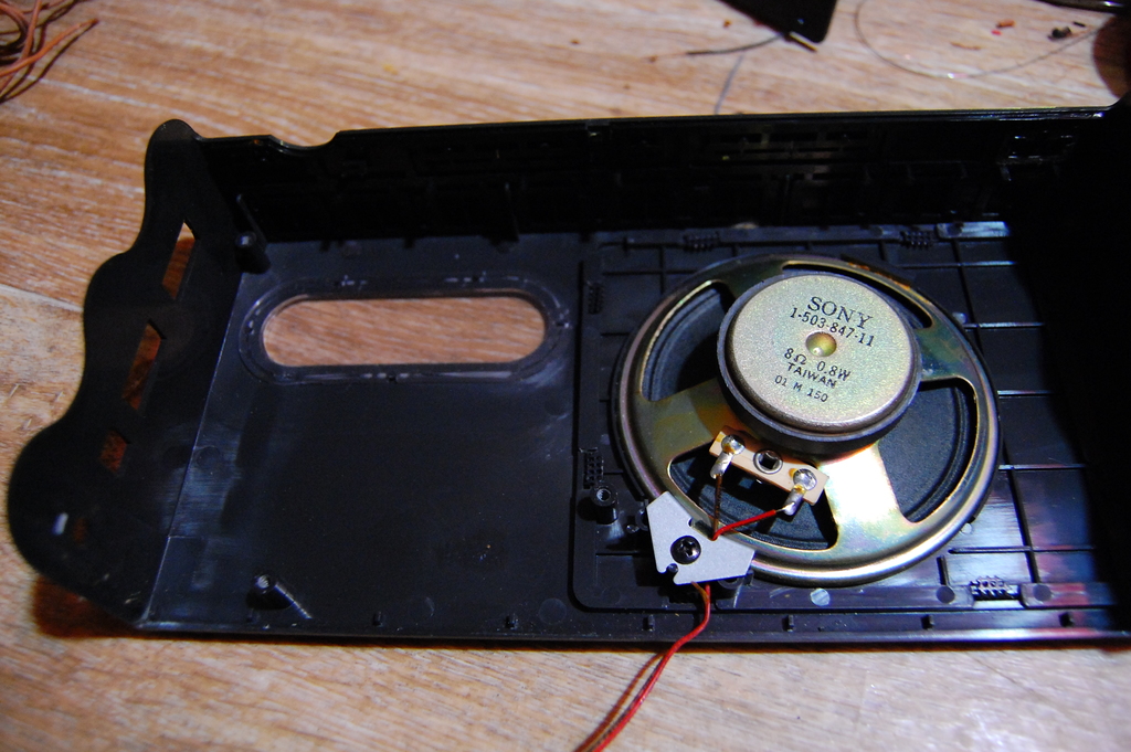 DSC_8113.JPG-avlf.jpg