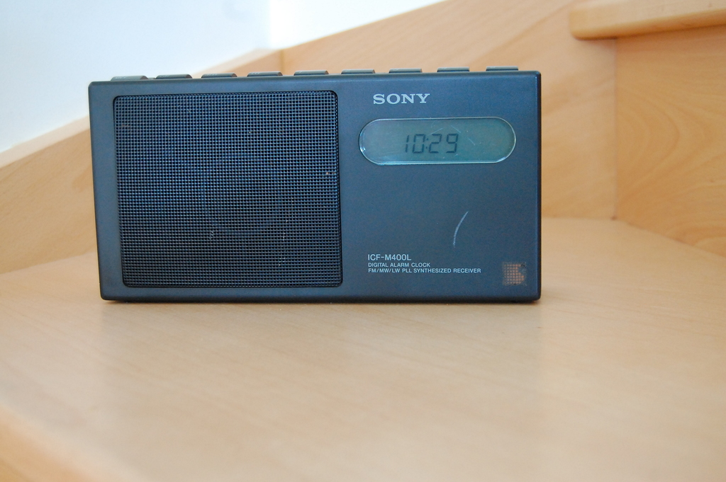 DSC_8123.JPG-avlf.jpg