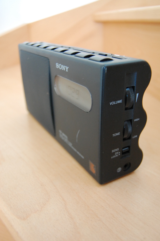 DSC_8125.JPG-avlf.jpg