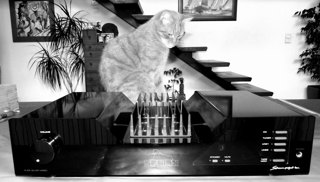 P1040086 - Copie.JPG