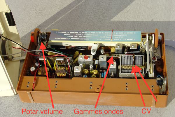 file-2.jpg